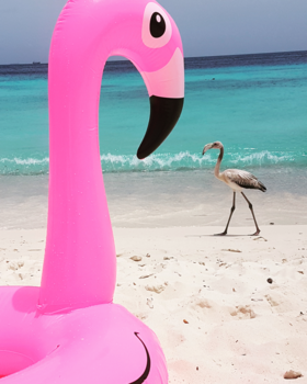 Curaçao - Cas Aboa, Westpunt.