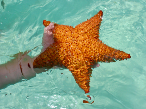 Dominicaanse Republiek