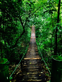 Dominicaanse Republiek