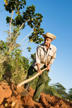 Viñales Valley - Viñales, Cuba