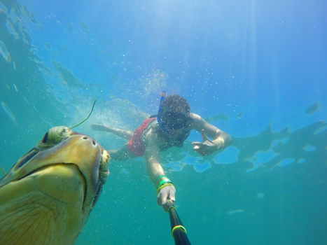 Mexico - Grumpy old turtle...