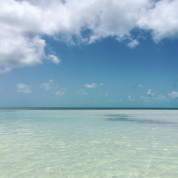 Bahama's - Clearly blue