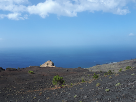 La Palma - wat a view