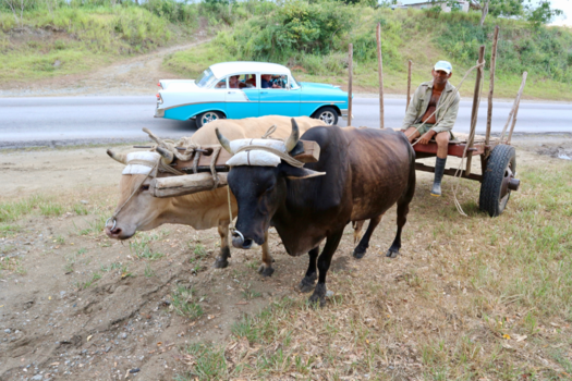 Cuba - Passend vervoer