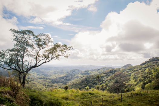 Costa Rica - Het groene paradijs