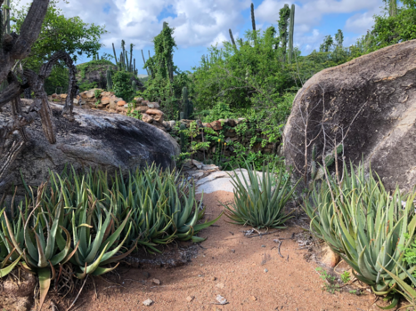 Arikok National Park - Hiking in Arikok.