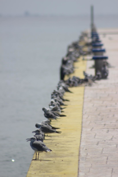 Playa del Carmen - Serenity