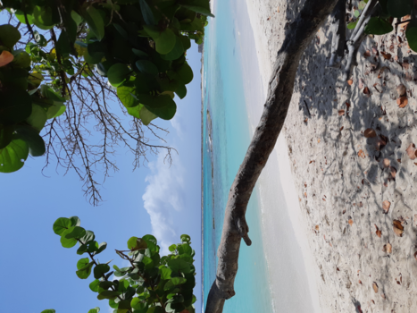 Aruba - Paradise on babybeach