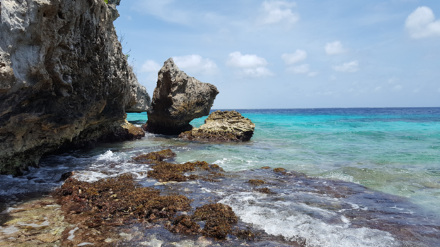 Washington-Slagbaai National Park - 1000 steps beach