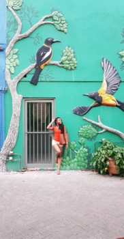 Curaçao - Punda Vibes