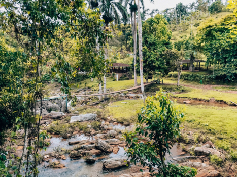 Trinidad (Cuba) - Time to jungle