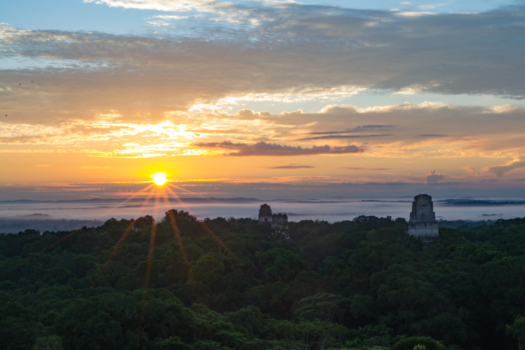 Guatemala - Zonsopgang boven de tempels van Tikal