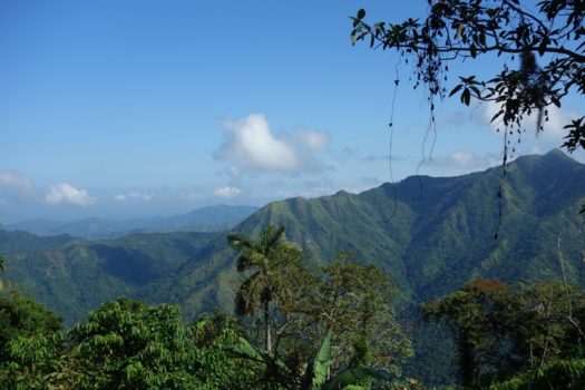 Cuba - Oerwoud in Cuba uitzichtfoto