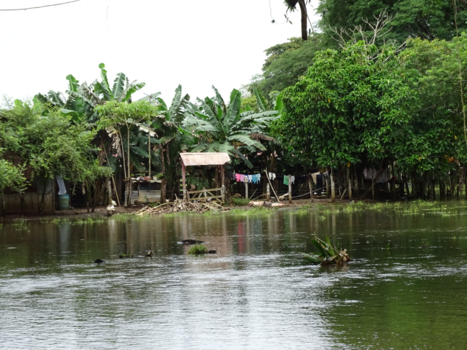 Costa Rica - Cano Negro