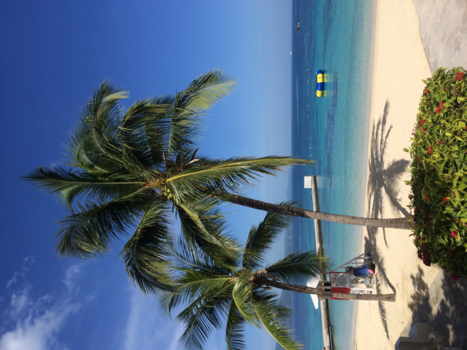 Blue Lagoon - Doctor's cave beach jamaica