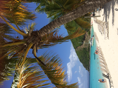 Blue Lagoon - Jost van dyke BVI