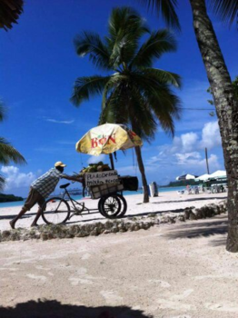 Dominicaanse Republiek - Just another day at the office