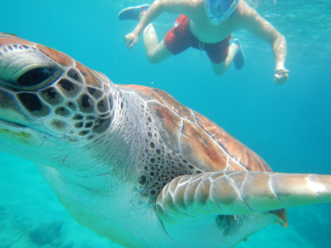 Curaçao - Op ontdekking....