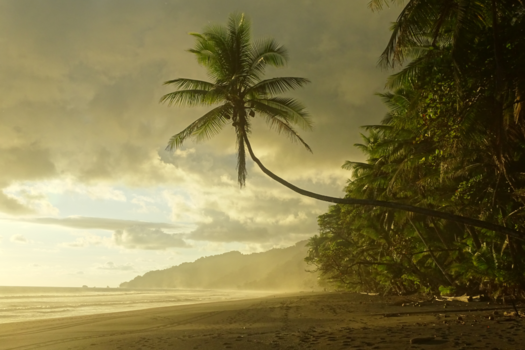 Costa Rica - Beachwalk to La Leona, Corcovado National park