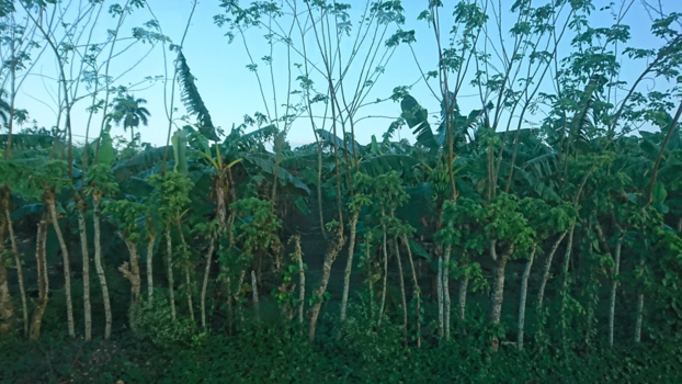 Santo Domingo (Dominicaanse Republiek)