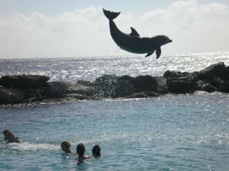 Curaçao - Curaçao is worth flying for...