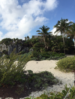 Playa del Carmen - Tulum