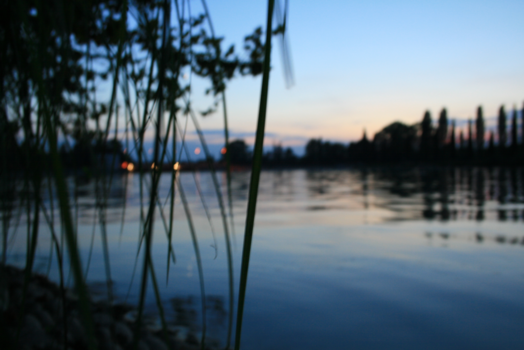 San José - The silents of nature