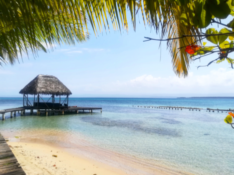 Bocas del Toro - Panamagic