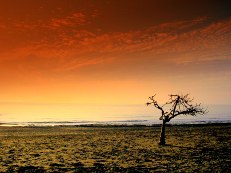 Mexico - Liefde aan de horizon