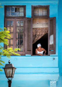 Havana - Nosy Neighbour