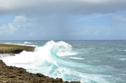 Curaçao - Bruisende momenten