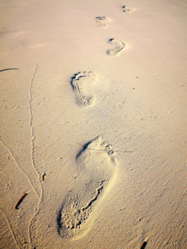 Punta Cana - Leasing a footprint the sand