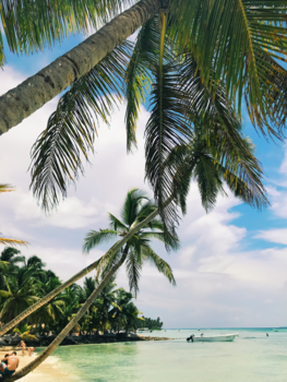 Dominicaanse Republiek - Saona Island