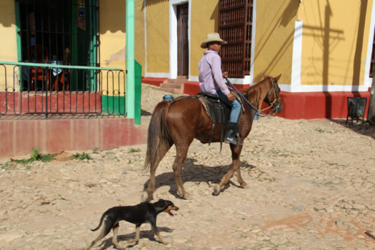 Trinidad (Cuba) - Trinidad Cubaanse Cowboy