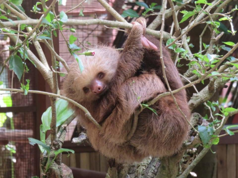 Rondreis hoogtepunten Costa Rica - Slow beauty
