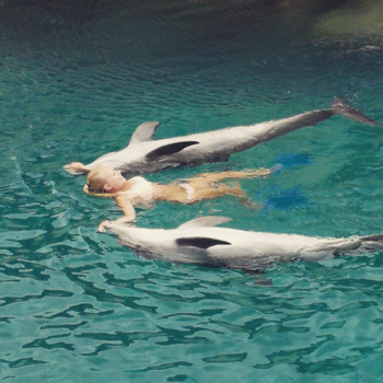 Curaçao - Met dolfijnen zwemmen!