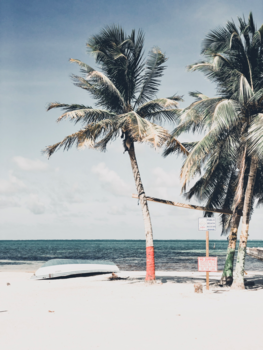 Caye Caulker - Prefect island