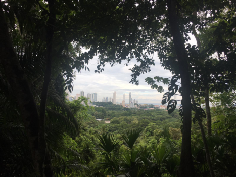 Panama - Uitzicht op Panama-city