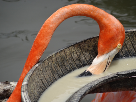 Viñales Valley - Beauty of Cuba.