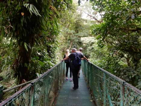 Costa Rica - Canopytour in Selvatura Park
