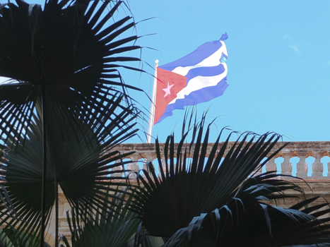 Havana - bijzonder havana