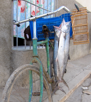 Havana - Vis in Trinidad