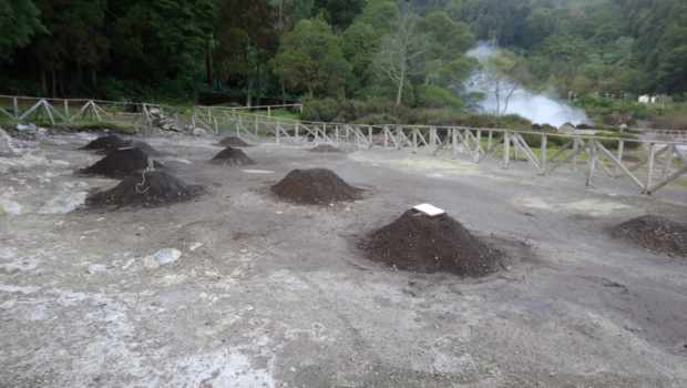 San Miguel - Stoofpotje