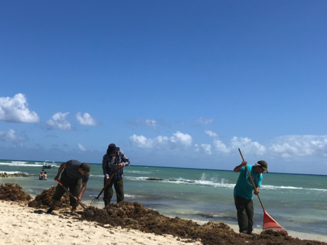 Playa del Carmen - Real beach boys