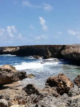 Washington-Slagbaai National Park - Mooi natuur op Bonaire