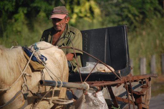 Varadero en Isla de Juventud - Voorbijganger