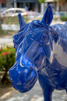 Oranjestad - In Oranjestad staan 8 blauwe paarden als  hommage aan de vroegere naam van de stad.