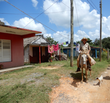 Viñales Valley - Hombre a caballo