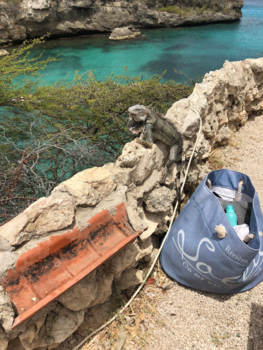 Curaçao - Een lokaal beestje