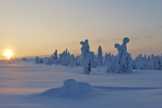 Bonaire - mysterieus Finland